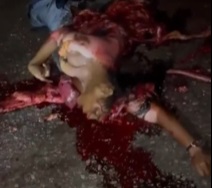 Young Female Ripped Apart on Highway