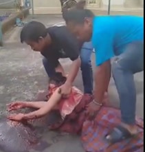 Teenager Tries to Stab his Mother in front of his Neighbors