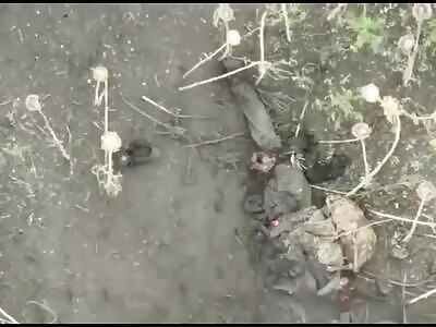 DEATH BY MAVIC DRONE 