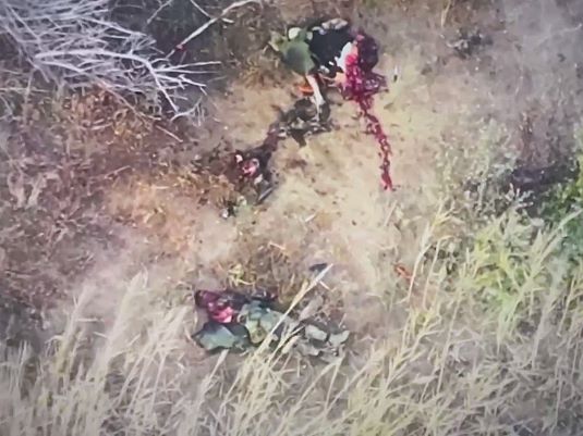 R-Rated Flick: Drones Gone Wild 1—Spreading Orcie Legs