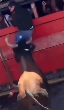 Brutal Attacks of the Week (Comp)