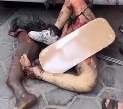 Fucked Up Hamas Terrorists and Rats