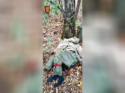 Dead Russians are scattered throughout Kursk