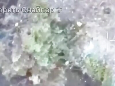 Russians shot their comrade