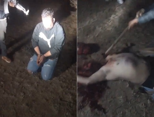 NEW: CJNG Cartel KIll Rivals With AK-47