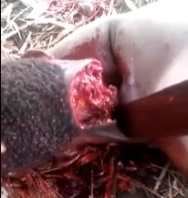 Cultists Severed Rivals Head