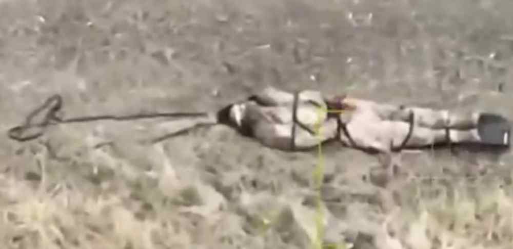 Another Sick Case of Sadomasochism. 