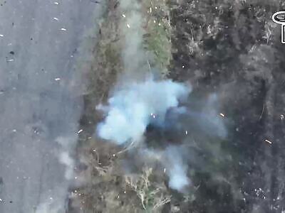 Dud Blows Himself up with a Grenade Before Capture.