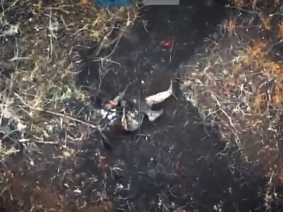 Dead Russians comp (November 3, 2024)