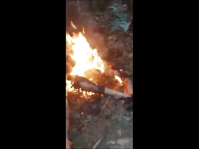 Burned atrocities by the Cartel