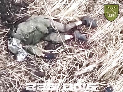 Dead Russians fertilize the Kursk region