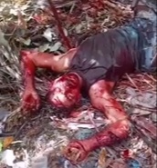 Dude Stabbed but Did not Die after he Got Lost.