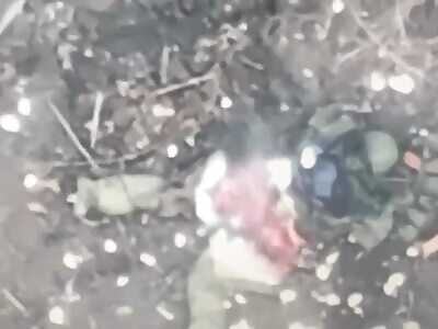 Jagga Jagga. Picnic Project. Part 7.