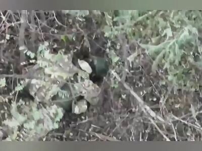 Dead Russians comp III (November 15, 2024)