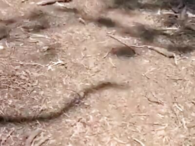 Russians killed in Donetsk