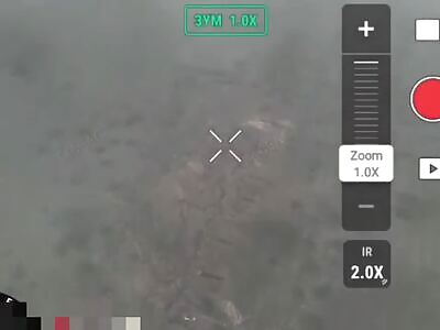 Ukrainian drones destroy a group of Russian infantry