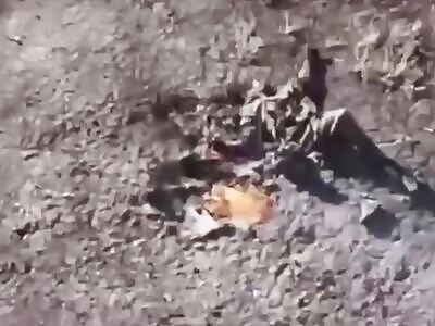 Ukrainian army exterminates waves of Russian in Donetsk