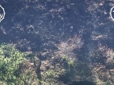 Ukrainian drones hunting for Russian in Pokrovsk