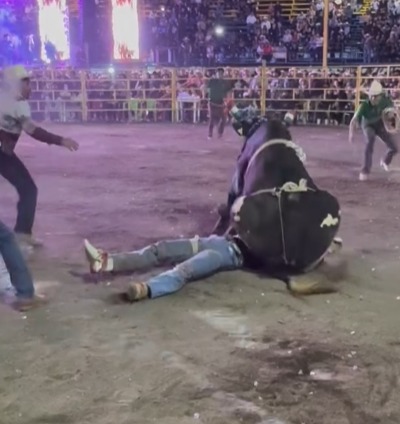 Revenge of the Bulls (Compilation)