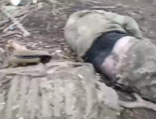 Dead Ukrainian soldiers in the battlefield 