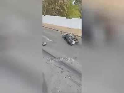 Family dies in accident involving a calf