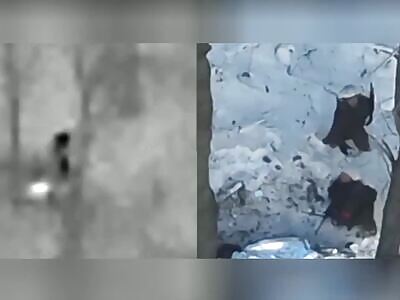 First Full Video of the Defeat of the Korean Army Attack. 23 dead!