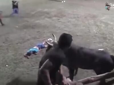 brutal bull attacks 