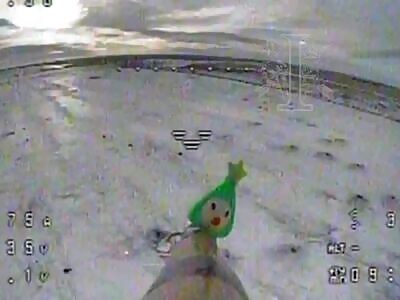 Ukrainian Drones Send New Year's Gifts to Koreans