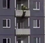 A North African Man Falls to his Death Trying to Escape the Police