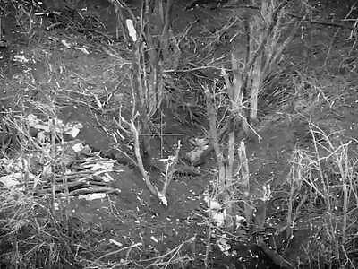 Ukrainian warrior against 3 Russians