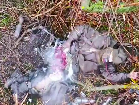 Ivan Surrenders. And Notices His Legs Been Yanked Off