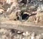 Can't pee in peace...