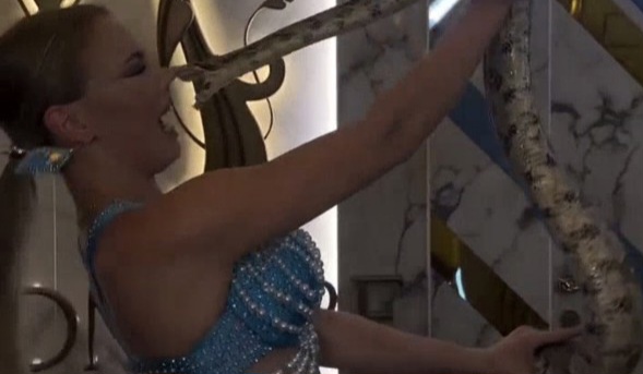 Don't Fuck with Snakes