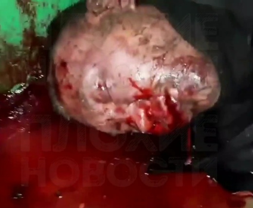 Addict who Killed a man on New Year's Day Brutalized him with a Branch