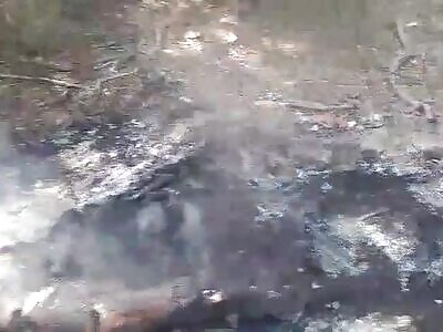 man burned in brazilian forest