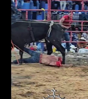 Bull Shows No Mercy!!!! 