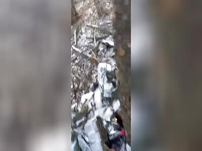 Russian shows his dead comrades.