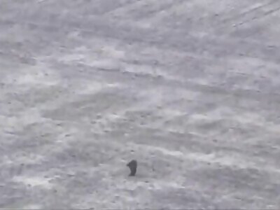 Russian hitter on a dead ball