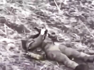 Simple Suicide of a Russian Soldier