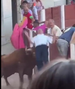 brutal bull attacks
