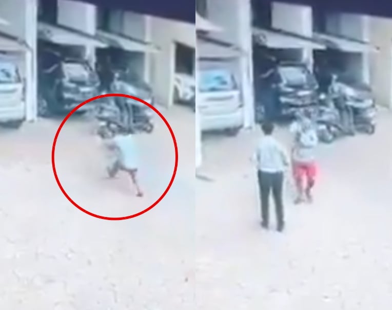 Toddler Survives Fall From 13th Floor Due To Quick-Thinking Man In Maharashtra