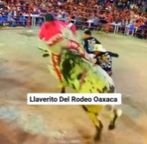 Bullfighter Sent to Space