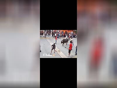 never test your strength with a Mexican bull