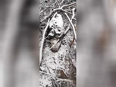 RU POV: Many dead Russians.