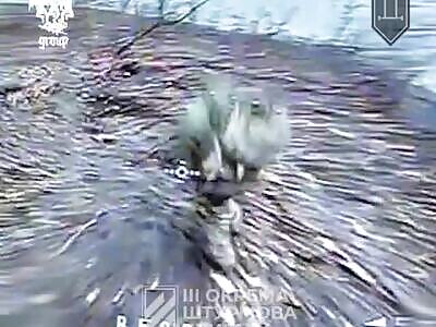 FPVs tear Russian meat.