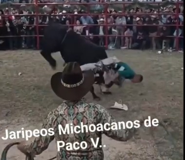 Fucking and brutal attacks bull