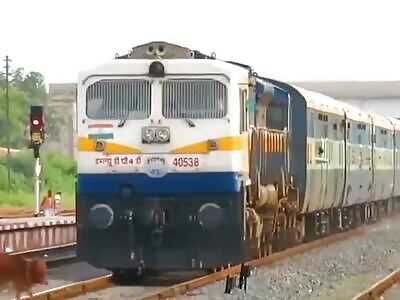 Cow train accident