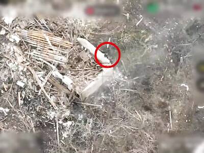 FPVs are killing Russians one by one.