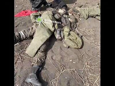 Dead RuАSSians Compilation