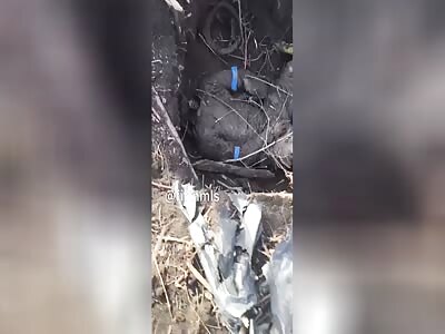 some dead ukrainians pt 2